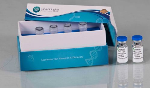 義翹神州以研發(fā)驅(qū)動(dòng)業(yè)績(jī)快速成長(zhǎng),產(chǎn)品深受國(guó)際認(rèn)可 需求旺盛